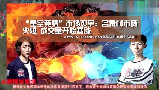 星空官网